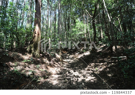 Climbing Mount Tsukuba in Ibaraki Prefecture in May 2024 119844337