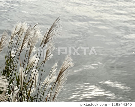 潘帕斯草染成了湖面的顏色 119844340