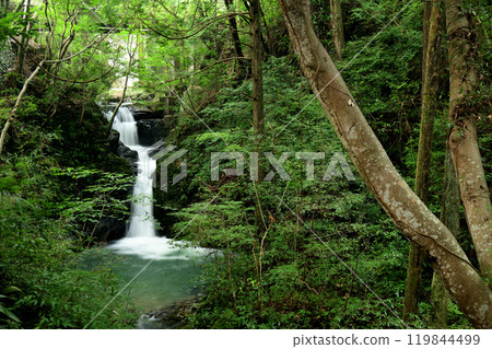 Kiyotaki Falls (Otani Fudo Myoo Falls) [Odai Town, Taki District, Mie Prefecture] 119844499