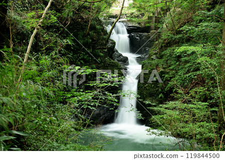 Kiyotaki Falls (Otani Fudo Myoo Falls) [Odai Town, Taki District, Mie Prefecture] 119844500