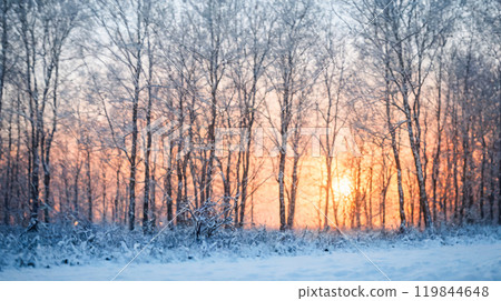 Winter sunrise in snowy forest, tranquil morning light through bare trees, cold season landscape, nature background with sun glow, peaceful outdoor scenery Winter sunrise in snowy forest, tranquil morning light through bare trees, cold season landscape, nature background with sun glow, peaceful outdoor scenery 119844648