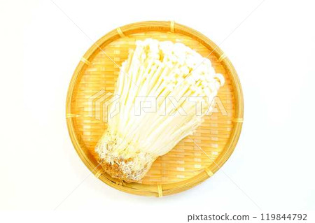 Enokitake mushroom, Enoki mushroom, Nametake mushroom, Namesuki mushroom, Saxifrage mushroom 119844792