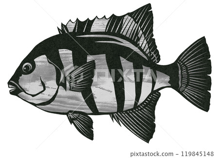 石台木紋的剪紙插圖 119845148