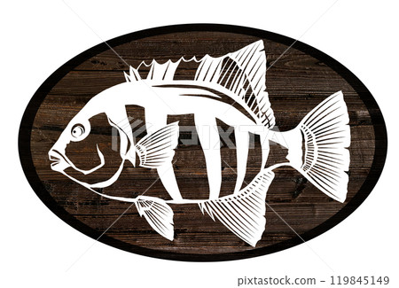 Wood painting cut-out illustration of saltwater fish, Ishidai 119845149