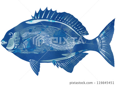 一種名為 Isuzumi 的鹹水魚的剪紙插圖，它有滴便便的恥辱。 119845451