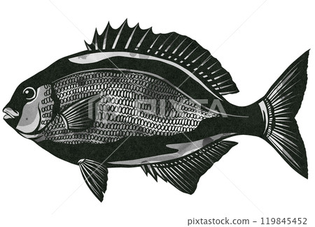 A cut-out illustration of a Japanese sea bass that scatters feces and has a peculiar smell after being caught 119845452