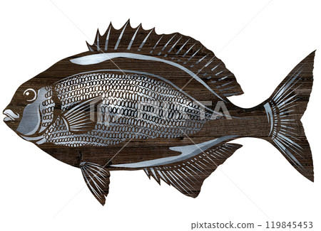 A paper cut-out illustration of a Japanese sea bass, which is unpopular with anglers due to its distinctive smell. 119845453
