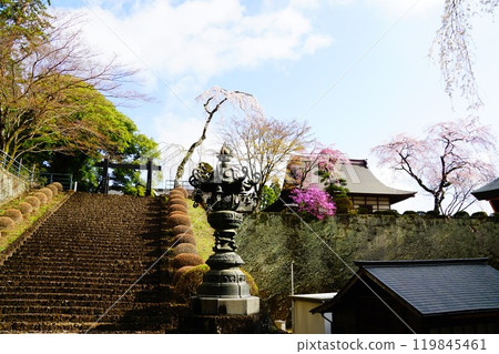 Myogi Shrine with cherry blossoms in bloom, Mount Myogi, Gunma Prefecture 119845461