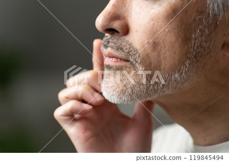 Beauty Middle Age Beard Beauty Middle Age Beard 119845494