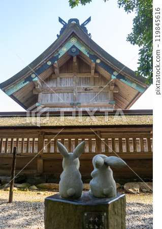 The White Rabbit of Inaba gazing at the main hall of Izumo Taisha Shrine, Izumo City, Shimane Prefecture 119845616