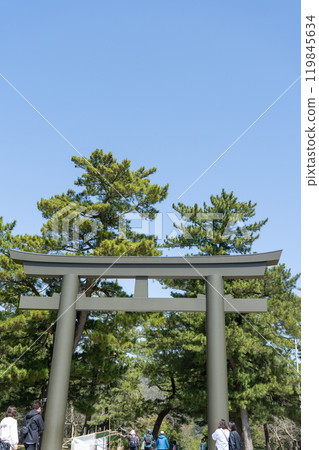 Torii gate of Izumo Taisha Shrine, Izumo City, Shimane Prefecture Torii gate of Izumo Taisha Shrine, Izumo City, Shimane Prefecture 119845634