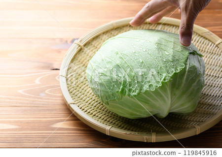 新鮮高麗菜（木紋背景） 119845916
