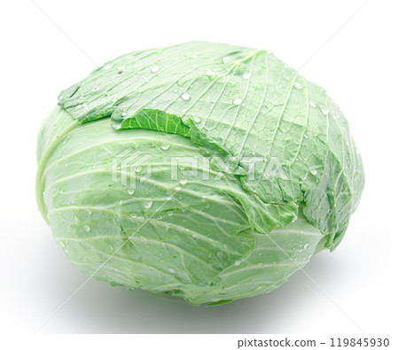 Fresh cabbage (white background) 119845930