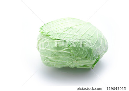 Fresh cabbage (white background) 119845935
