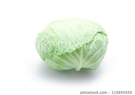 Fresh cabbage (white background) Fresh cabbage (white background) 119845939