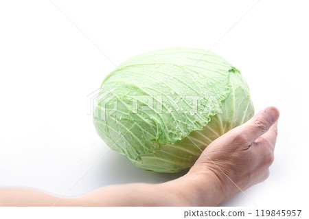 Fresh cabbage (white background) 119845957