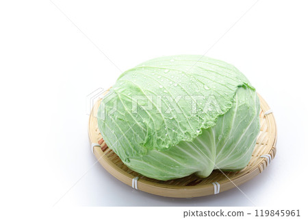 新鮮高麗菜（白色背景） 119845961