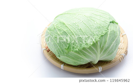 Fresh cabbage (white background) 119845962