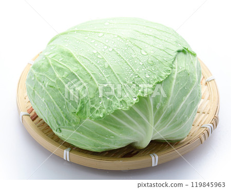 Fresh cabbage (white background) 119845963