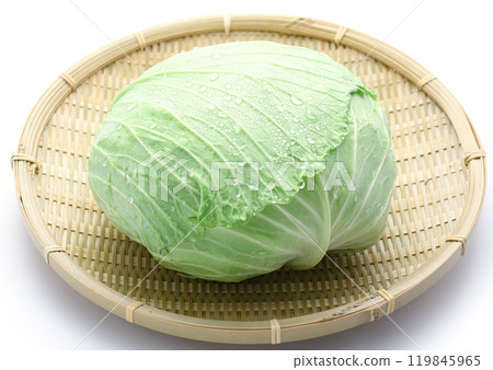 Fresh cabbage (white background) 119845965