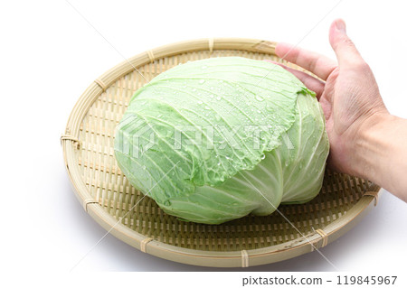 Fresh cabbage (white background) 119845967