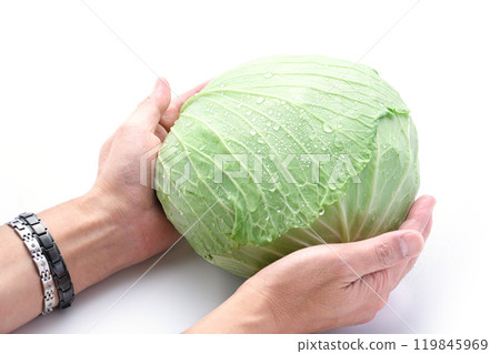 Fresh cabbage (white background) 119845969