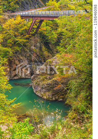 [Niigata Prefecture] Akiyamago Sarutobi Bridge and the surrounding autumn leaves 119846098