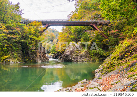 [Niigata Prefecture] Akiyamago Sarutobi Bridge and the surrounding autumn leaves 119846100
