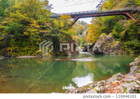[Niigata Prefecture] Akiyamago Sarutobi Bridge and the surrounding autumn leaves 119846101