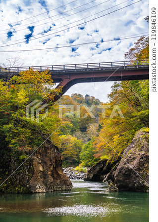 [Niigata Prefecture] Akiyamago Sarutobi Bridge and the surrounding autumn leaves 119846109
