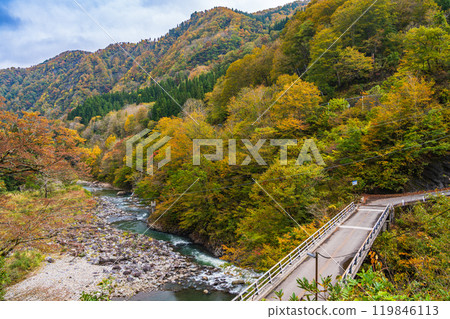 [Niigata Prefecture] Akiyamago Sarutobi Bridge and the surrounding autumn leaves 119846113