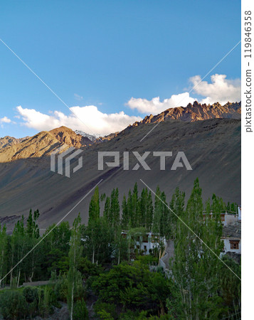 Poplar trees, desolate rocky mountains and blue sky in the small village of Alchi in the western part of Ladakh, known as Little Tibet in northern India 119846358