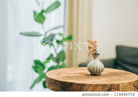 Dried mimosa flowers in a vase on a table Dried mimosa flowers in a vase on a table 119846759
