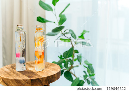 橙色和藍色植物標本室放置在桌子上 119846822