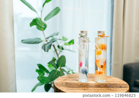 橙色和藍色植物標本室放置在桌子上 119846823