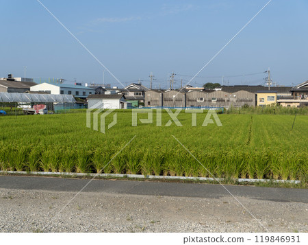 Small factories and rural scenery 119846931