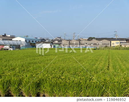 Small factories and rural scenery 119846932