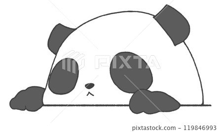 A panda pops out 119846993