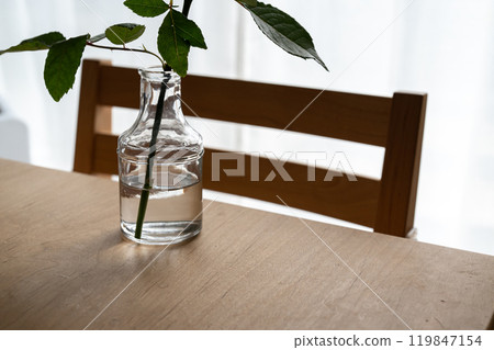 houseplants placed on the table houseplants placed on the table 119847154