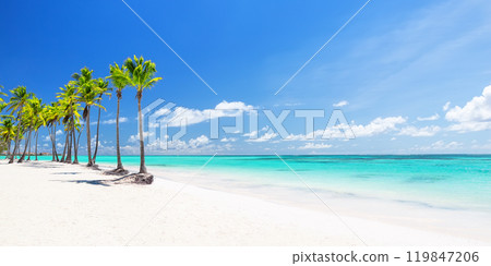 Beautiful tropical white sand beach and coconut palm tree in Dominican Republic. 119847206