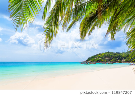 Coconut palm trees and long tail boat on white sand tropical beach in Koh Tao island, Surat Thani Province, Thailand. 119847207