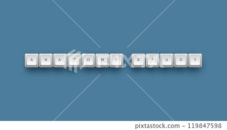 Anatomy study text on a 3d keyboard button with shadow concept series  119847598