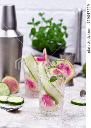 Cocktail with cucumber and radish Cocktail with cucumber and radish 119847729