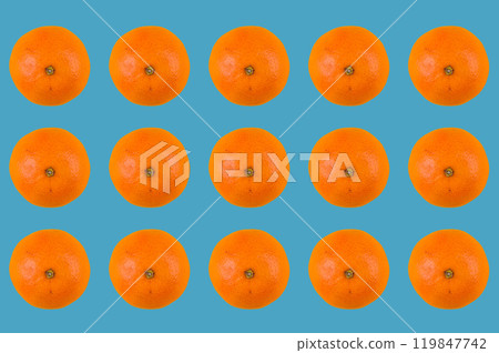 Vibrant orange mandarins on turquoise background Vibrant orange mandarins on turquoise background 119847742