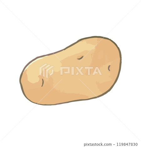 Potato_vegetable 插畫手繪圖示 1 119847830