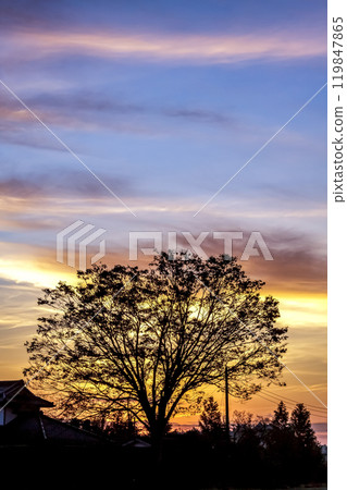 Cloud formations shining with the reflection of the morning glow and rural scenery [Autumn dawn] 119847865