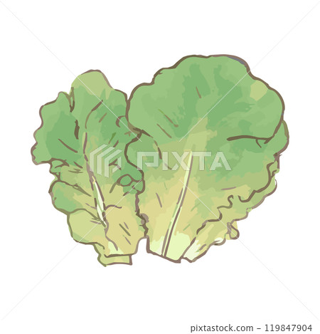 Sanchu_蔬菜插畫手繪圖標 119847904