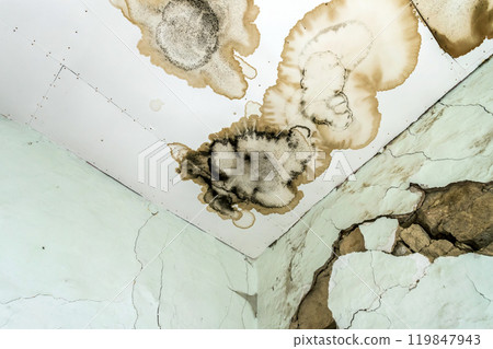 Mold fungus on ceiling and wall 119847943