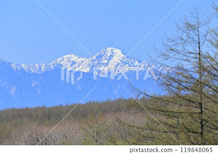 Southern Alps distant view 119848065