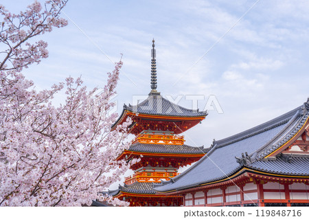 Cherry blossoms in full bloom and the three-story pagoda of Kiyomizu-dera Temple 119848716